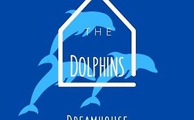 Dolphins Dreamhouse
